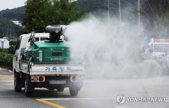 강원(인제)‧충남(당진) 한우농장서 럼피스킨 발생… 방역 강화