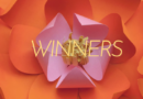 “The Cosmetic Victories”: 과학 혁신을 위한 10년의 여정